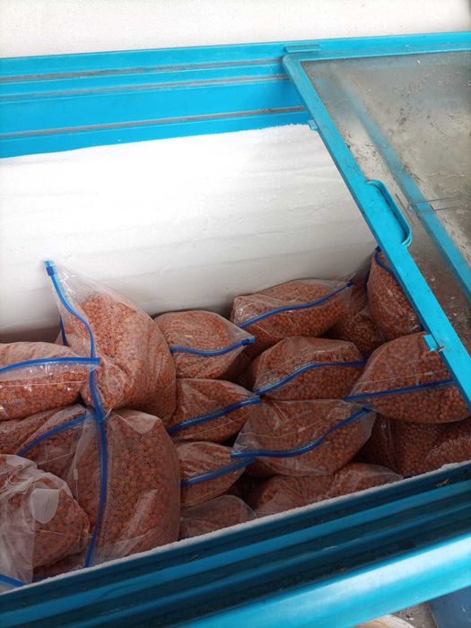 Vand catina congelata