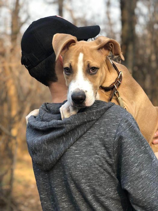 Ищем девочку для вязки