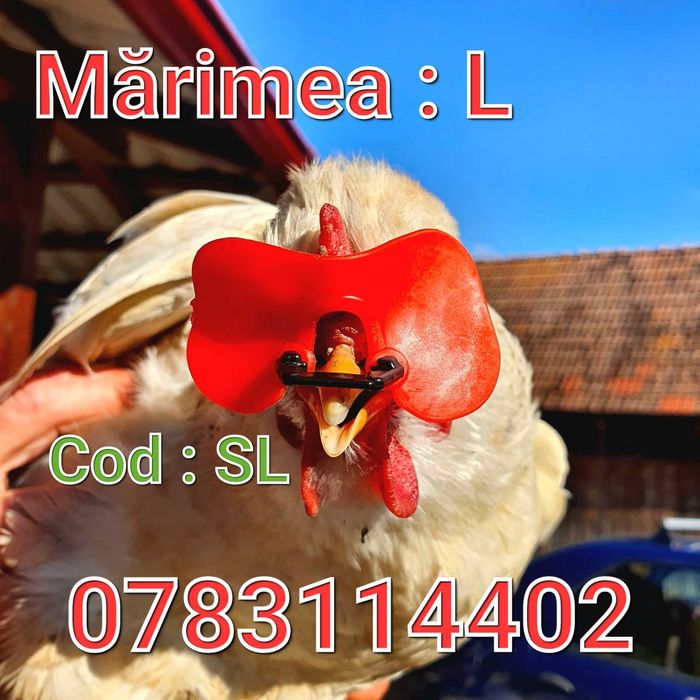 Gaini Fazani Pasari Pauni Curci- OCHELARI Anti Lupte Ciupit-FARA AC-SL