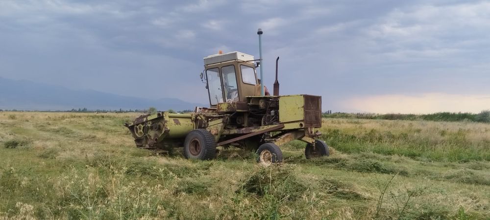 Продаю Германка в хорошем состоянии!
