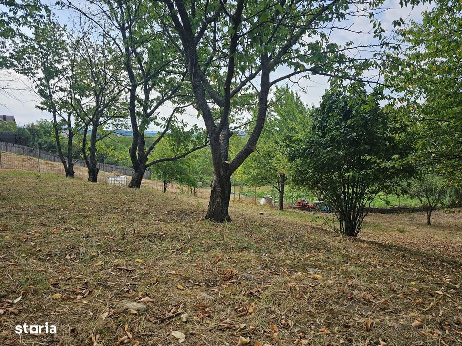 Teren Exceptional 1719 Mp Cu Helesteu De Peste Semi Central Iasi