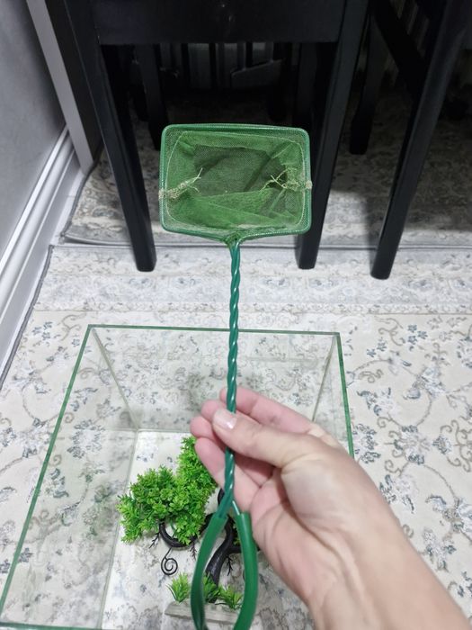 Аквариум для рыб