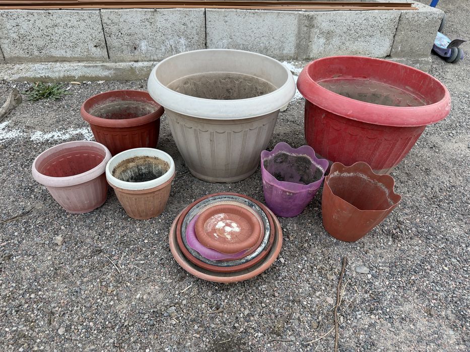 Цветочные горшки Шамалған