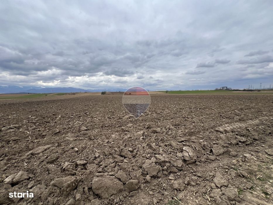 Teren de Vânzare 2.800 mp Bungard – Șelimbăr | Oportunitate Strategică