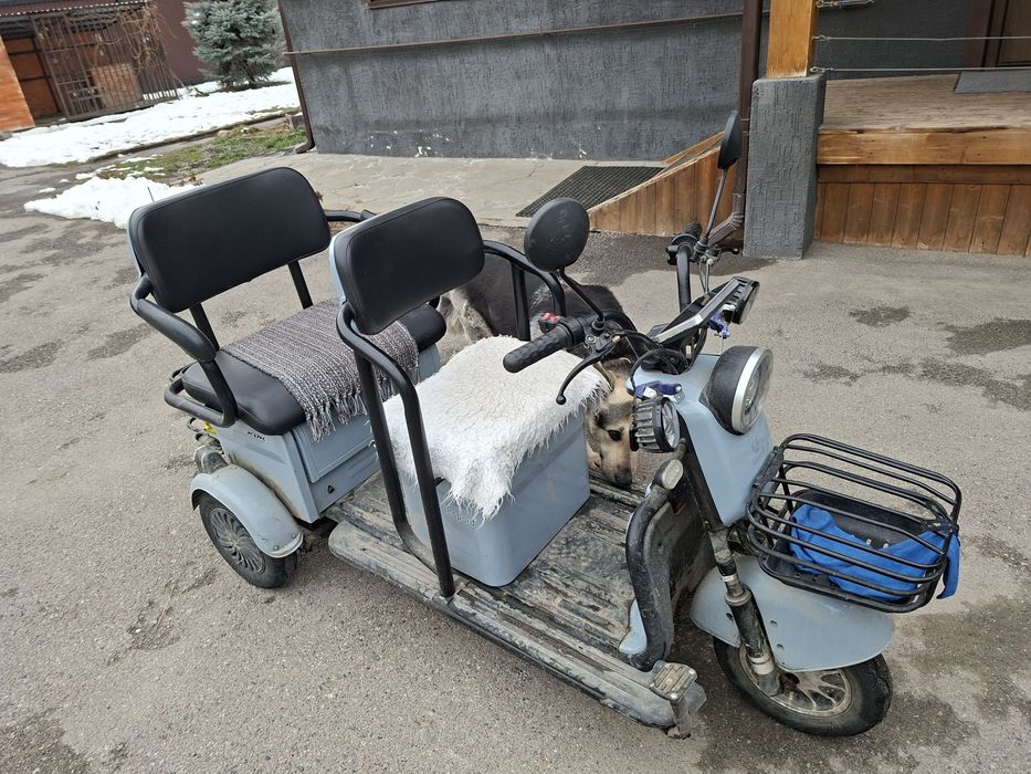 Leopard трицикл. На аккумуляторе.