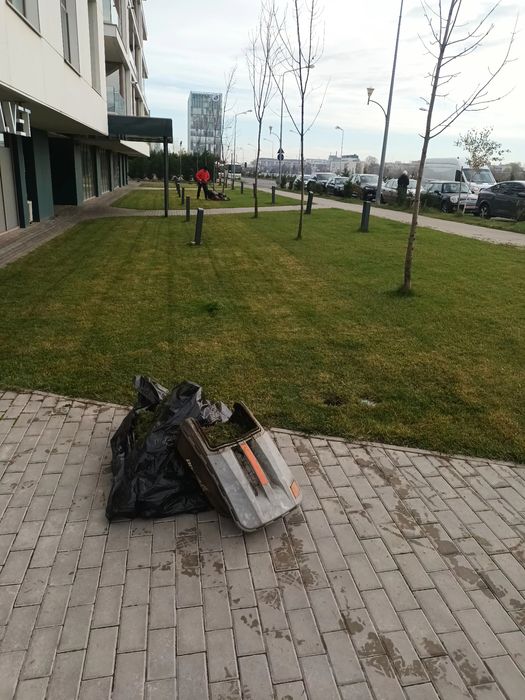 Grădinar Scarificarificam gazonul dumneavoastră