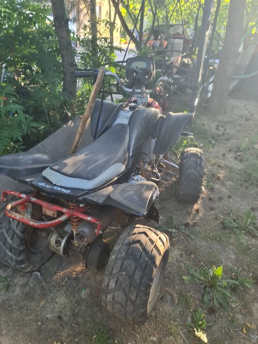 Atv bashan 200cc pe gardan
