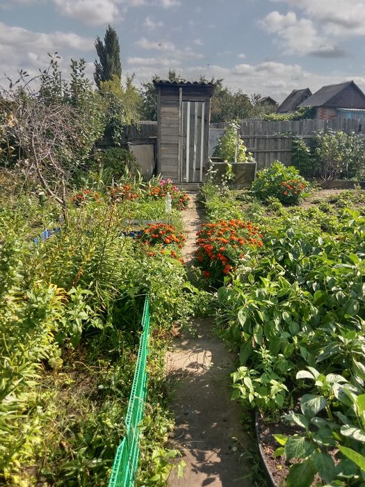 Продам дачу17 маршрут 6 общество