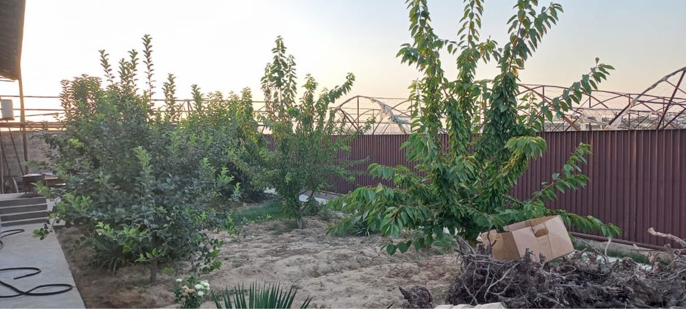 Продается срочно Дом с теплицей