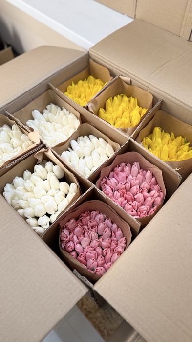 Белорусские тюльпаны Астана