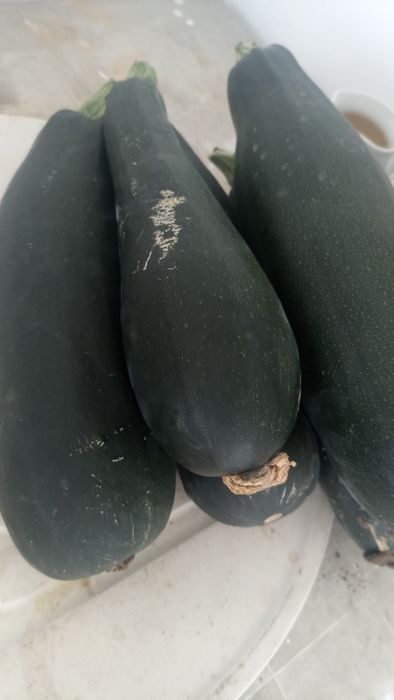 кабачки садовые , есть доставка