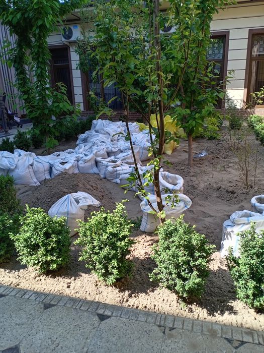 Yer haydash va chopish.  24/7