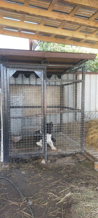 Продам валеер для собак и птиц мошный