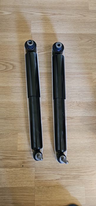 Telescoape spate Renault Megane 2 an 2007 1.9 Diesel