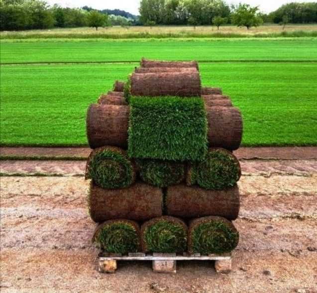 Gazon Rulouri Sisteme de Irigare