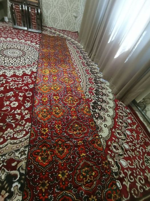 Koʻrpachalar duhobaliy