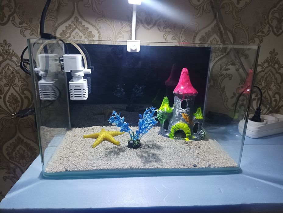 Xitoy quyma akvarium 15 litr komplekti