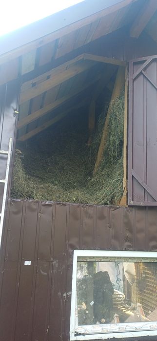 De vânzare fân și otavă