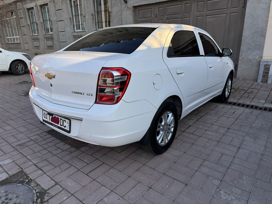 Kobilt 2023-yil sotiladi yoki arenda