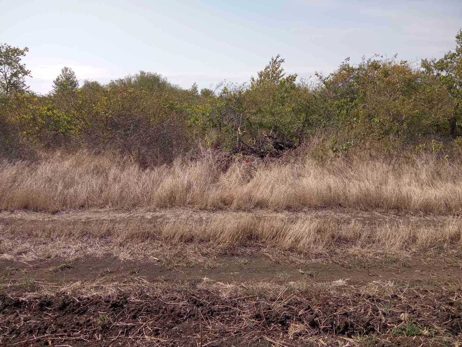 Продава се Парцел в Поморие - 8148 кв.м за 6 €/кв.м - Снимка #14