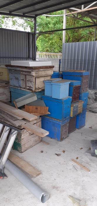 Продаю  ящики  пасика