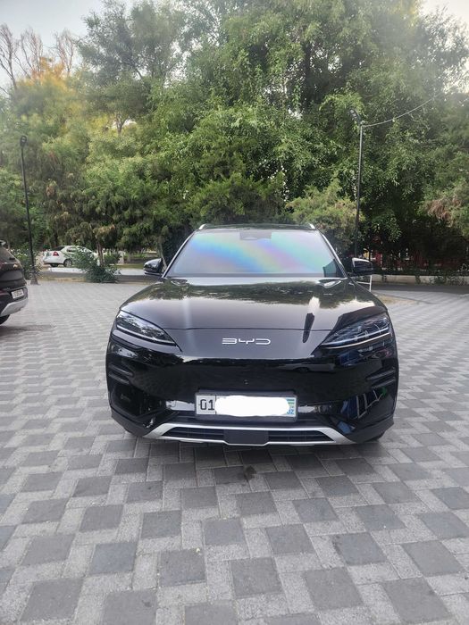 BYD Chempion EV 605