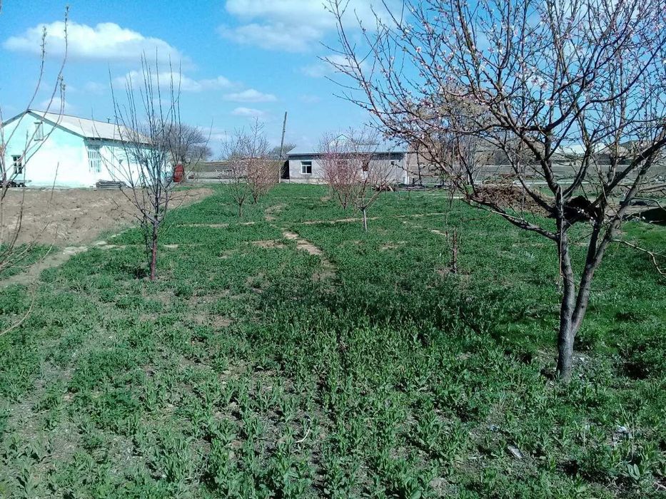 Жой сотилади, бу́линадиган. Нархи келишилади.