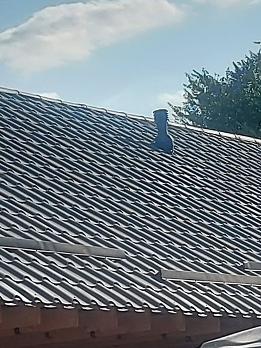 Вентеляция домов и квартир