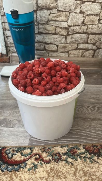 Продам вишню , малину, смородину