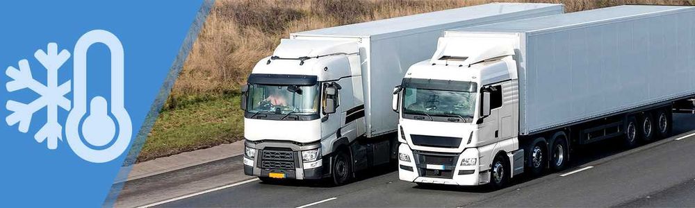 ТЕРМОДАТЧИК логер для ОВОЩЕЙ И ФРУКТОВ по евро стандартам