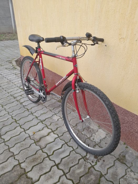 Bicicleta MTB Taifun spider