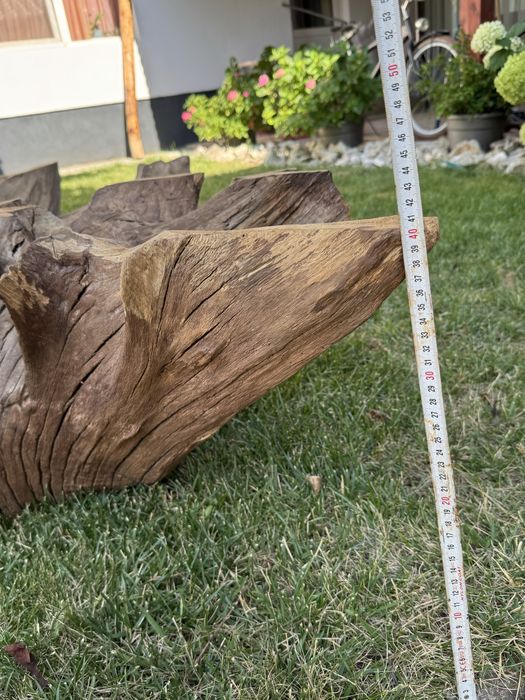 Radacina stejar pt măsuță cafea