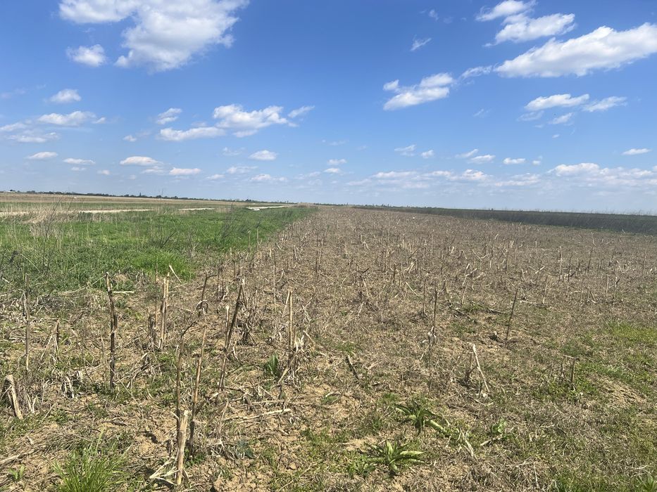 Teren agricol Slobozia Moară 8544 mp acces la drum asfaltat si la 1 km de DN7
