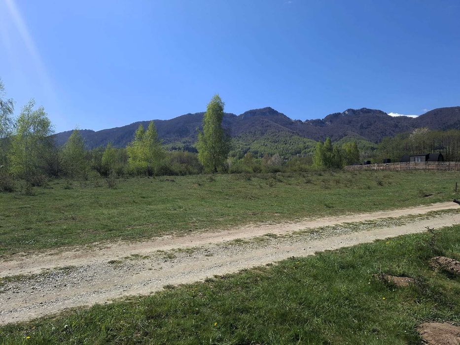 Teren intravilan 500 mp.  Zărnești/Tohănița