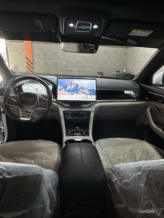 Byd chempion gibrid 150