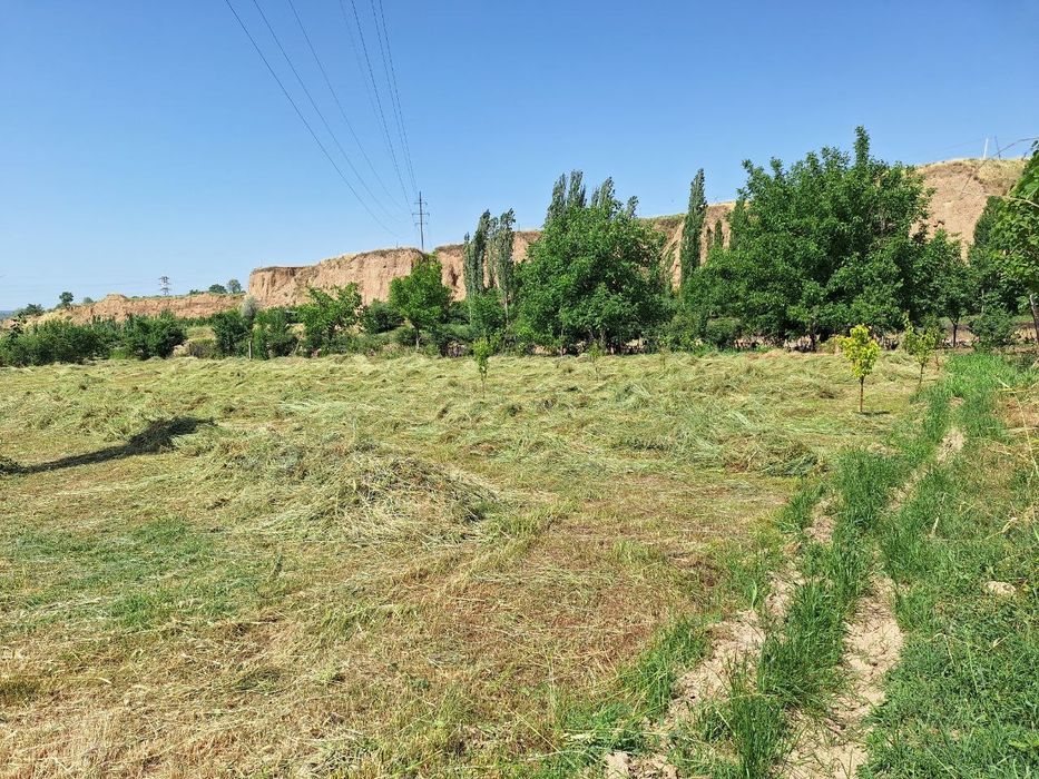 Oqtoshda 6sotix yer maydoni sotiladi.Gorbatiy mostdan 1.5km