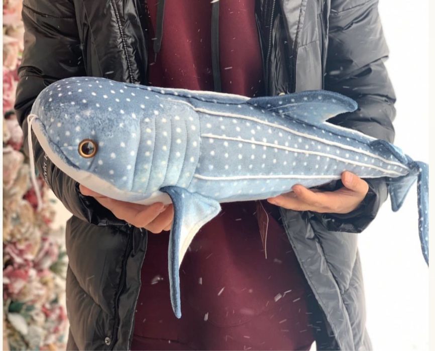 Очаровательная акула