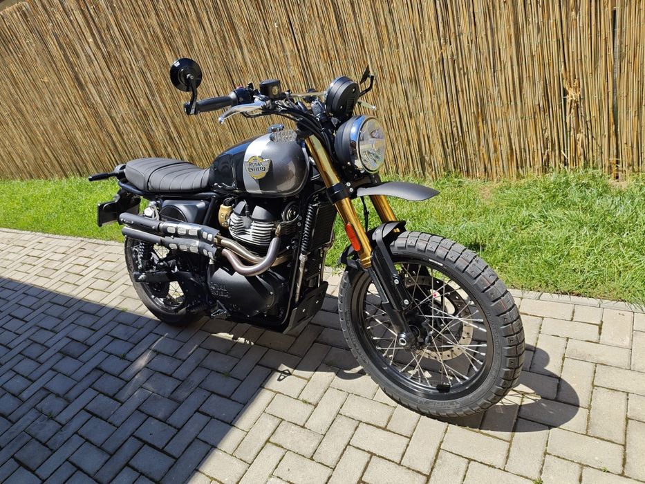 Royal Enfield Interceptor Bear 650  scrambler 2025 A2