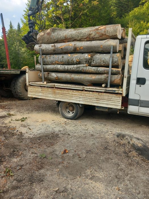 Lemn de foc esență fag  0720748065