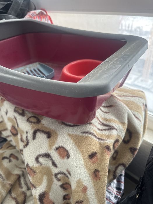 Продам Кошкин туалеты