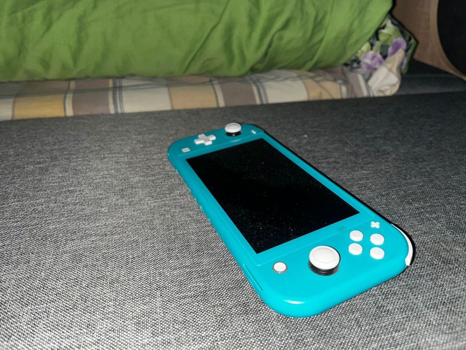 nintendo,switch lite.