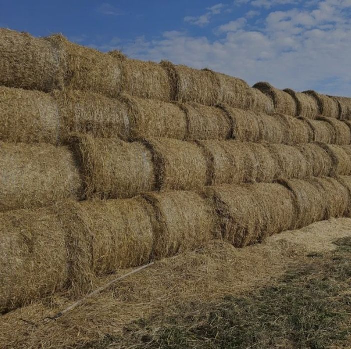 Baloți miriște cu paie