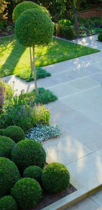 Spații verzi cu plante si gazon