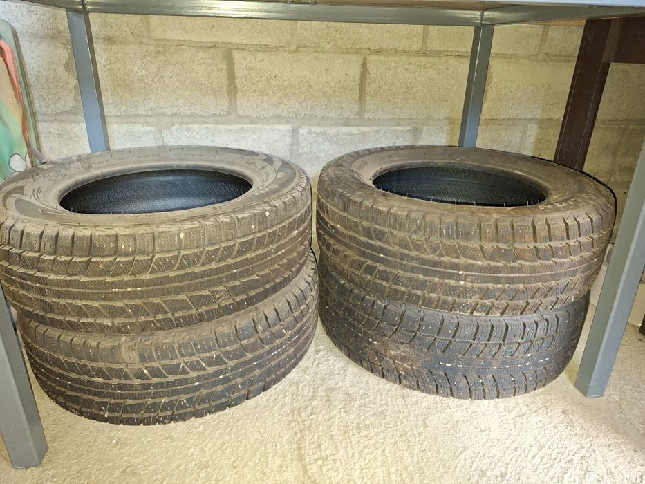 Кобольтқа шина 195,65,15 размер