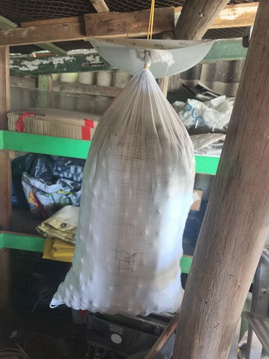 Vand un sac de nuca la kg