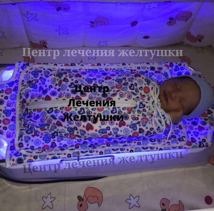 Фотолампа в аренду