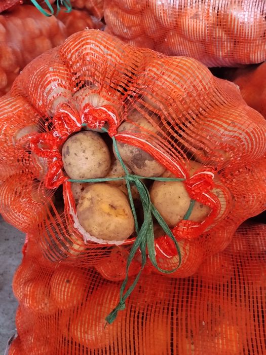 Продам картошку.