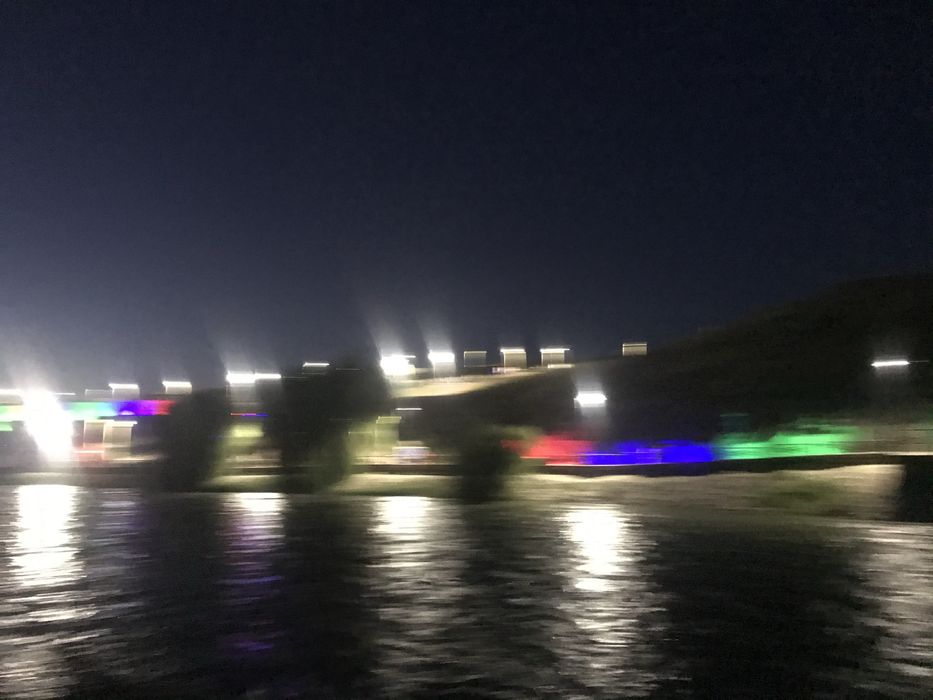 Перепелки поющие дикие