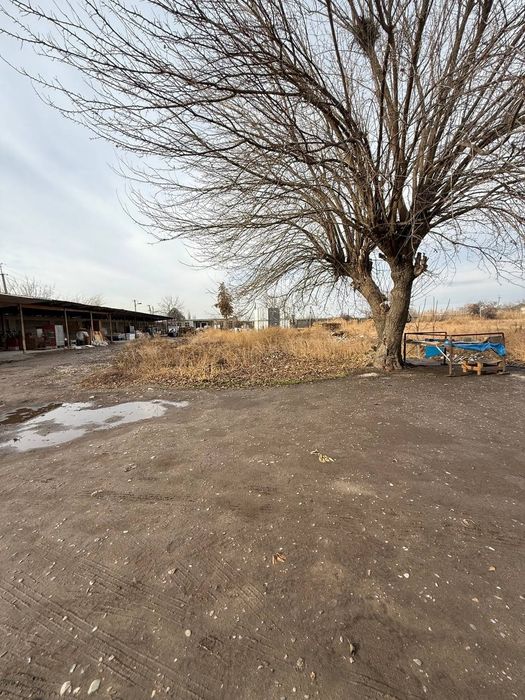 Продается земельный участок под каттеджный городок или производство