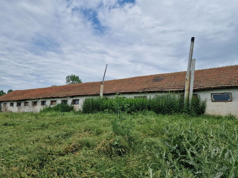 Ferma de vanzare in Cochirleni, Constanta